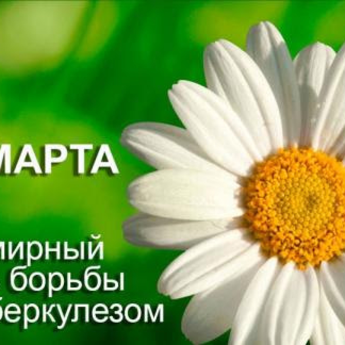 24 марта Всемирный день борьбы с туберкулезом
